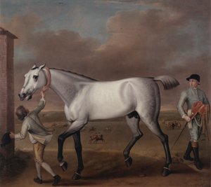 A Duke of Hamilton szürke versenylova „Victorious” a Newmarketben