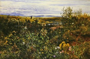 Kiterjedt táj vadvirágokkal, 1855-1860 körül (olaj a fedélzeten)