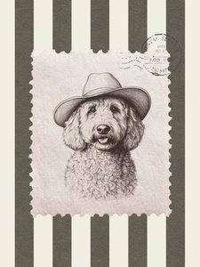 Goldendoodle cowboykalap alkotó: Jolly and Dash