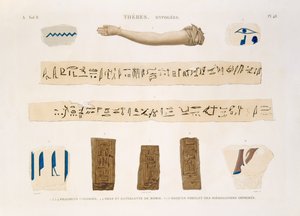 Hieroglifák és egy múmia karjának illusztrációi a thébai Hypogeesből, az "Egyiptom leírása" II. kötetének 48. táblája, vésett Károly, 1822 (akvatinta) alkotó: Jomard