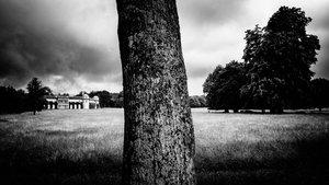The Goodwood Estate, West Sussex, Egyesült Királyság, 2020 (fotó)