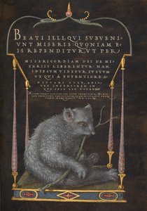 Egy lajhár alkotó: Joris Hoefnagel