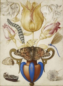 Virágelrendezés vázában, rovarokkal, 1594 (Akvarell arannyal, pergamen) alkotó: Joris Hoefnagel