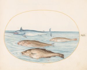 Hal, 1575-80 körül alkotó: Joris Hoefnagel
