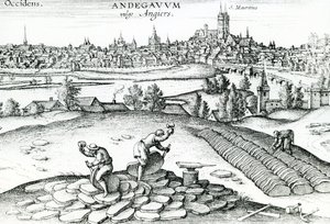 Palabánya Angers-ban, 1561 alkotó: Joris Hoefnagel