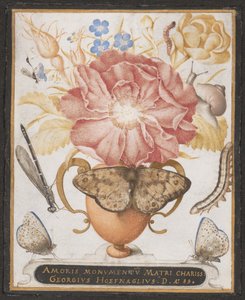 Csendélet virágokkal, csigával és rovarokkal, 1589. alkotó: Joris Hoefnagel