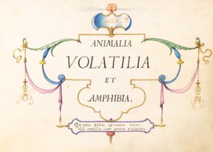 Címlap alkotó: Joris Hoefnagel