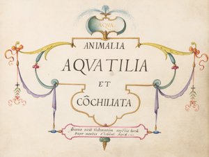 Címlap alkotó: Joris Hoefnagel