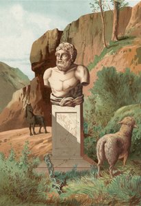 Aesop