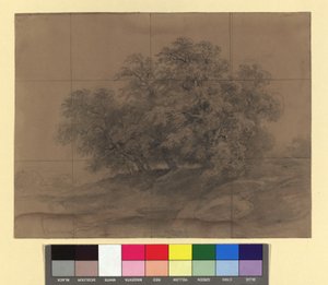 Facsoport - nagyítóhálóval alkotó: Josef Kriehuber