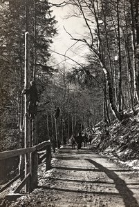 Album "Az én világháborúm – emlékek a délnyugati frontról Karintiában, Olaszországban, Trentino-Alto Adige" 1915.03.31-1918.12.11 - Josef Zohles Bécs ": katonák munkába (f/w fotó