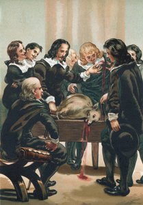 William Harvey bemutatja a vérkeringést alkotó: Josep or Jose Planella Coromina