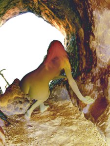 A barlangban
