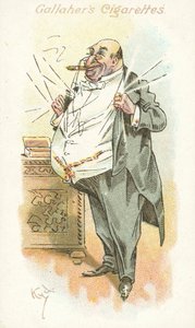 A gyomnövény 8. számú szavazói (színes litográfia) alkotó: Joseph Clayton (1856 1937) Clarke