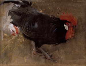 A fekete kakas (guache vászon)