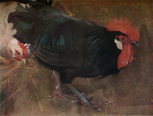 A fekete kakas, 1894