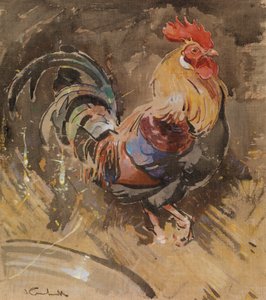 The Minorca Cock (gouache on linen)