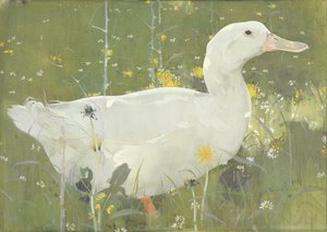 The White Drake (guache, vászon)