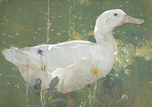 A Fehér Drake alkotó: Joseph Crawhall