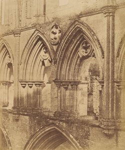 Rievaulx apátság. A trifórium ívei, 1850