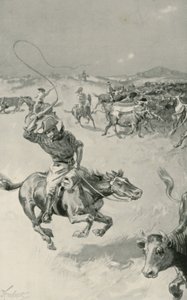 Szarvasmarha-Mustering Queenslandben alkotó: Joseph Finnemore