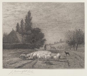 Village Street Franciaországban egy birkanyájjal
