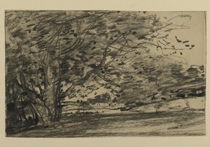 Study of Trees, 1870 (grafit papíron)