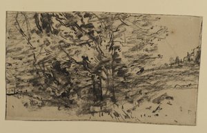 Study of Trees, 1870 (grafit papíron)