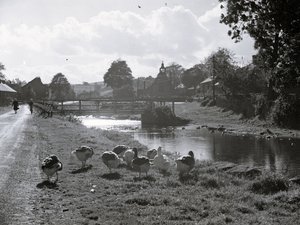 Patak, híd, előtérben libák, háttérben épületek és egy templomnak látszó épület; építészet; vallási; egyházi; alkotó: Joseph Hardman