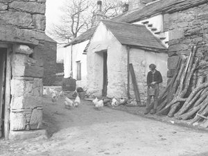 Földi lány baromfit etet a Duddon Fells-i Ulpha gazdaságban alkotó: Joseph Hardman
