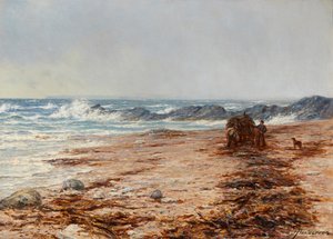 Kelp gyűjtése (olaj, vászon)