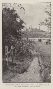 Churchyard Bottom Wood, Highgate, Alexandra Palace az erdő széléről alkotó: Joseph Holland Tringham