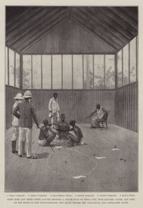 A benini expedíció alkotó: Joseph Holland Tringham