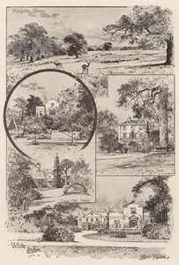Fehér páholy alkotó: Joseph Holland Tringham
