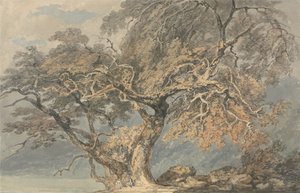 Egy nagy fa alkotó: Joseph Mallord William Turner