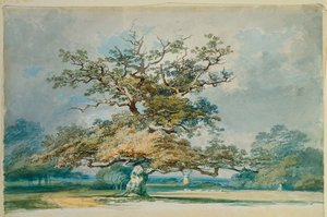 Táj egy öreg tölgyfával alkotó: Joseph Mallord William Turner