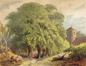 Falusi jelenet, limes (színes litográfia)