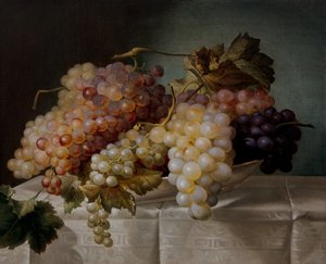 Csendélet szőlővel egy porcelántálban alkotó: Joseph Nigg