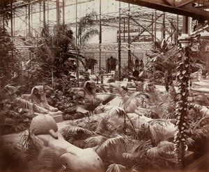 A londoni Kristálypalota: trópusi szakasz, 1870 körül (f/w fotó)