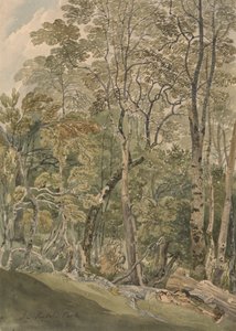 A Rydal Parkban