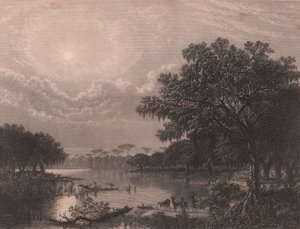 Louisiana Bayou, Egyesült Államok, Robert Hinshelwood (1812-1875 után) acélmetszet Joseph Rusling Meeker (1827-1889) festménye nyomán, kb 16x18 cm