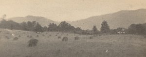 Tájkép fákkal és hegyekkel,c. 1900 (fotó)