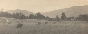 Táj fákkal és hegyekkel, c. 1900.