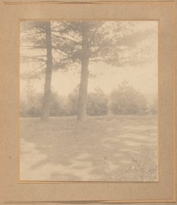 Táj fákkal, c. 1900.