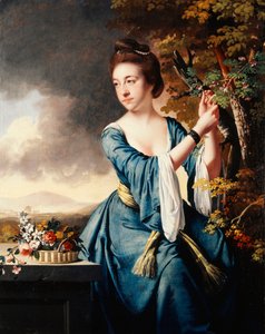 Erzsébet portréja, Mrs. John Bostock, 1769 körül alkotó: Joseph Wright of Derby