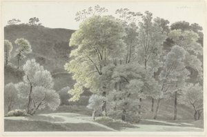 Fák Subiaco körül alkotó: Josephus Augustus Knip