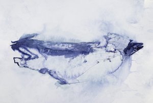 Absztrakt: Kék madár alkotó: Joshua Hoskins