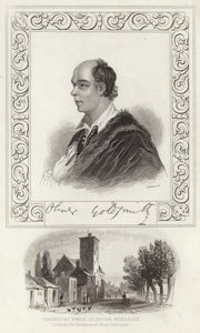 Goldsmith Olivér portréja alkotó: Joshua Reynolds