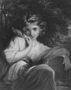 Csap alkotó: Joshua Reynolds