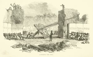 A bika leengedése alkotó: Josiah Wood Whymper